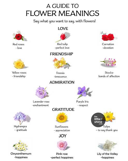Flower Meanings &amp; Symbolism
