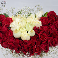 Ruby Ivory Royale