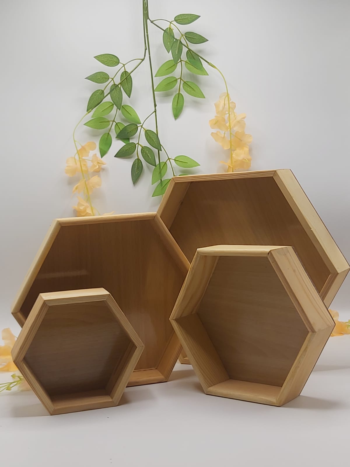 Hexagon Tray set